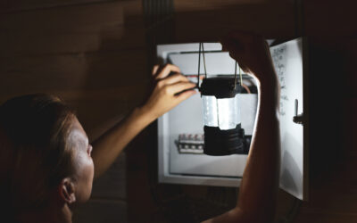 A Day Without Electricity